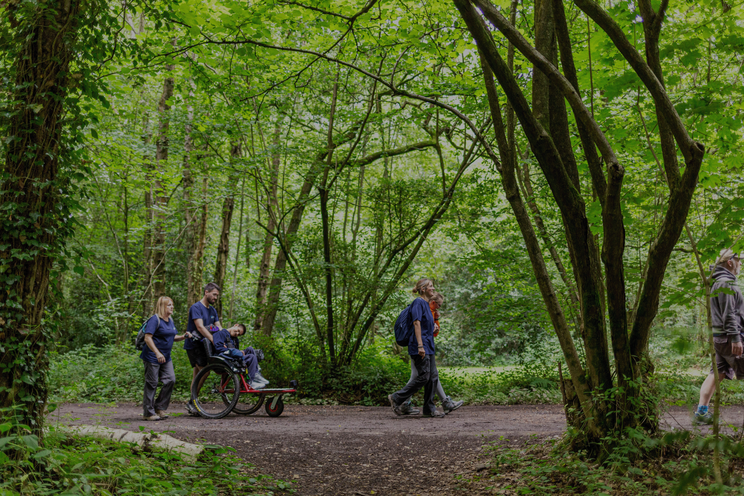 A group of people walking in a lush green forest. One person is seated in a wheelchair being pushed by another, while two others walk alongside them. The scene is filled with trees and vibrant foliage, creating a serene outdoor atmosphere.