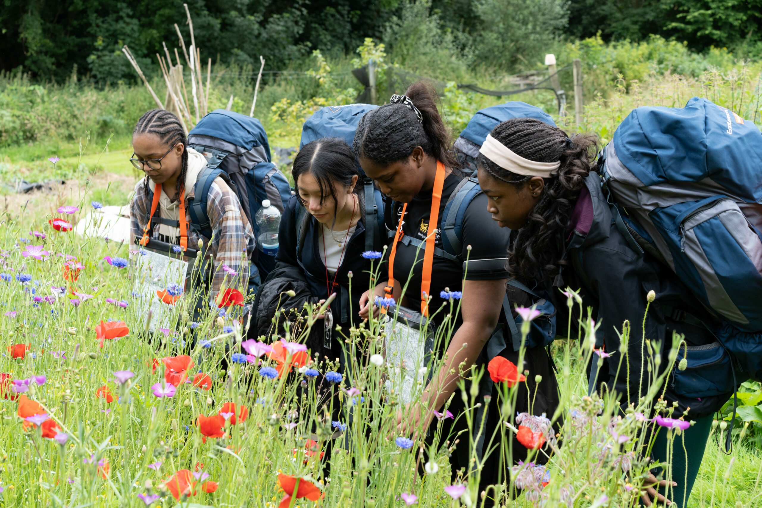 A group of four young women, each carrying a large backpack, are intently examining colorful wildflowers in a lush green field. They are dressed in outdoor gear and have orange identification lanyards around their necks. The scene is vibrant with various flowers, including red poppies, set against a backdrop of greenery and trees.