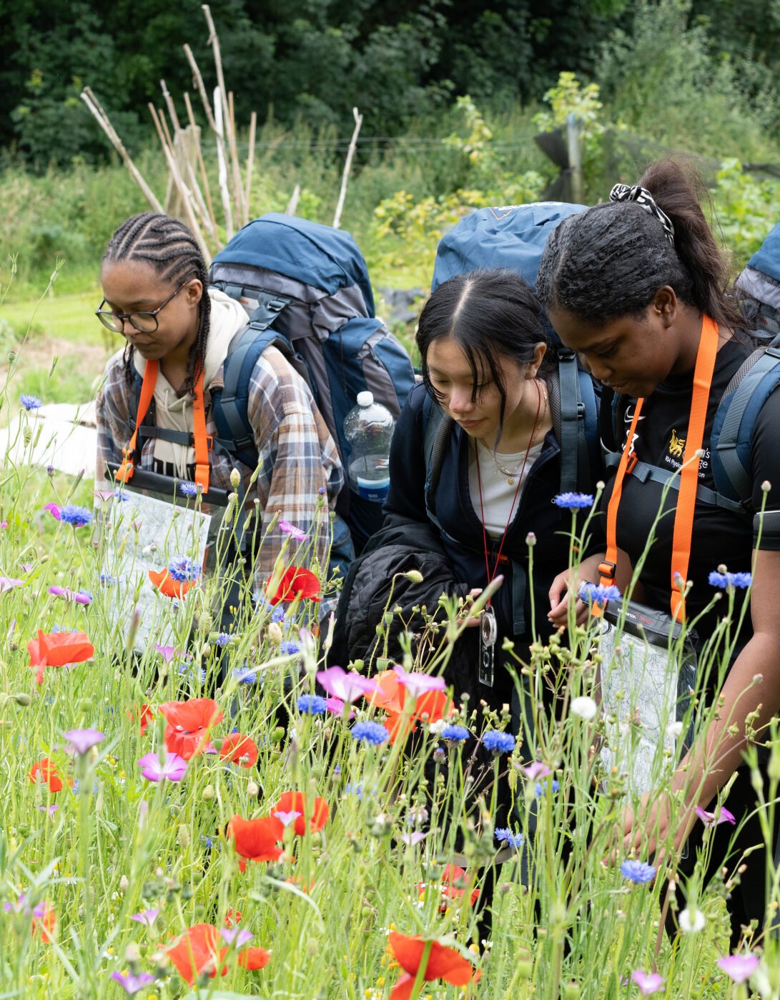 A group of four young women, each carrying a large backpack, are intently examining colorful wildflowers in a lush green field. They are dressed in outdoor gear and have orange identification lanyards around their necks. The scene is vibrant with various flowers, including red poppies, set against a backdrop of greenery and trees.